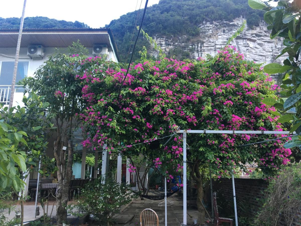 Cat Ba Countryside Homestay Dong Khe Sau Exteriér fotografie
