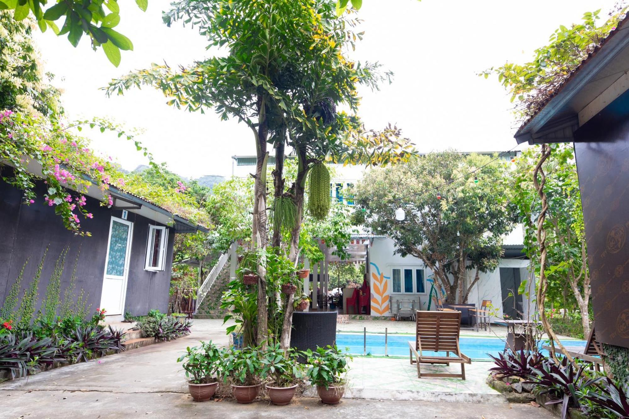 Cat Ba Countryside Homestay Dong Khe Sau Exteriér fotografie