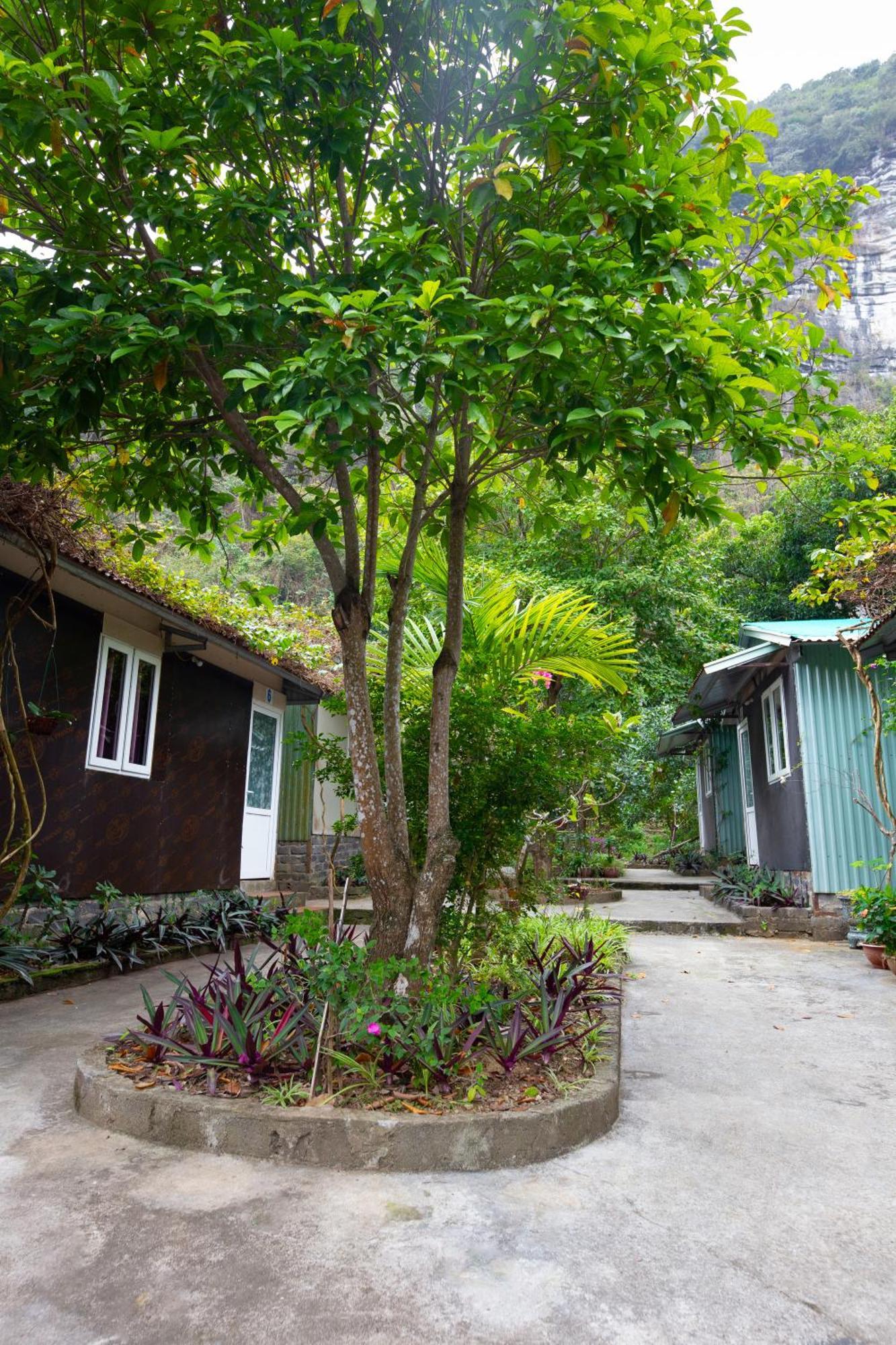 Cat Ba Countryside Homestay Dong Khe Sau Exteriér fotografie