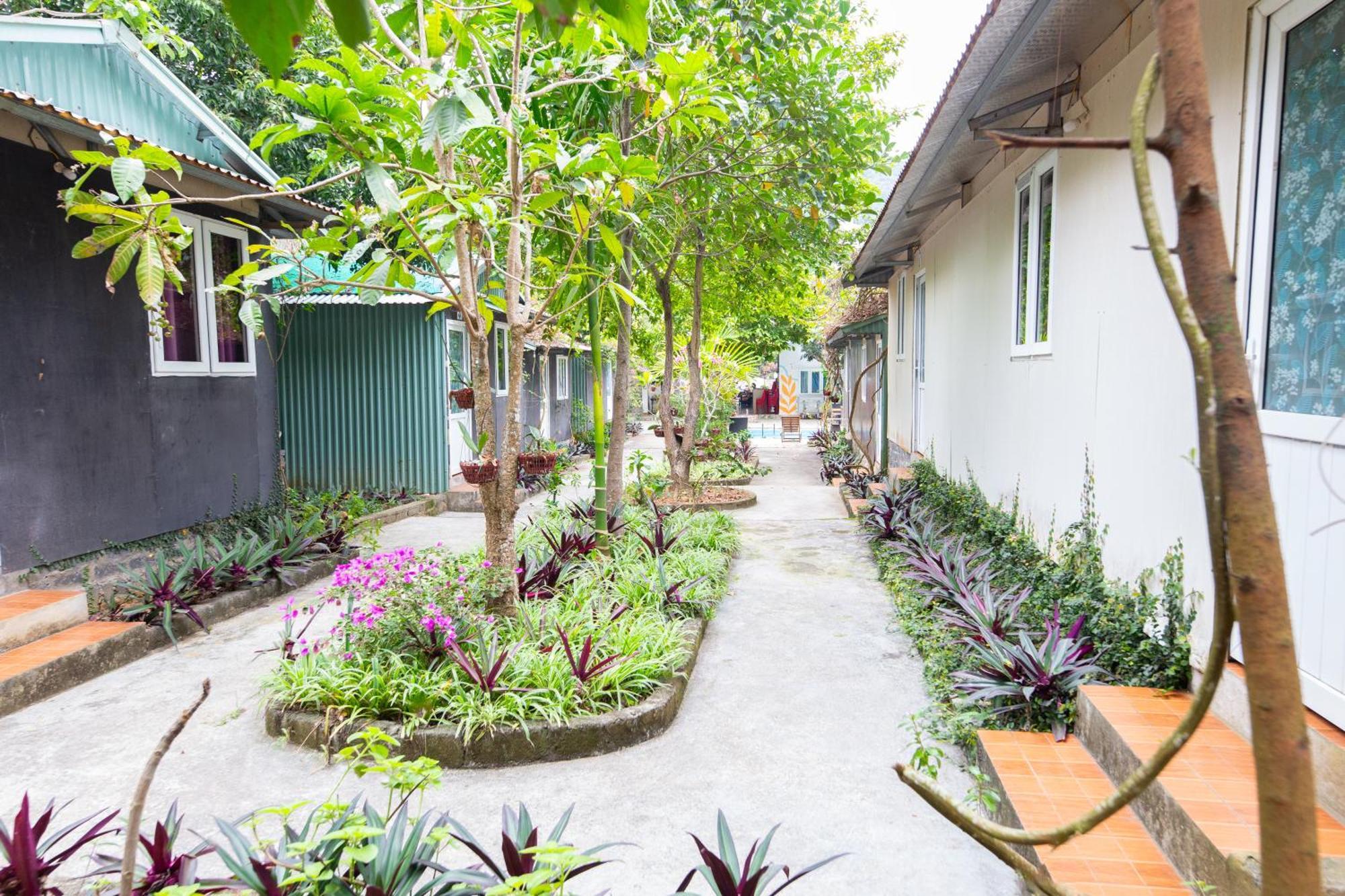Cat Ba Countryside Homestay Dong Khe Sau Exteriér fotografie